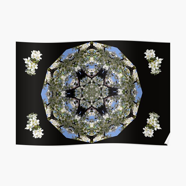 Cherry Blossom Kaleidescope Poster