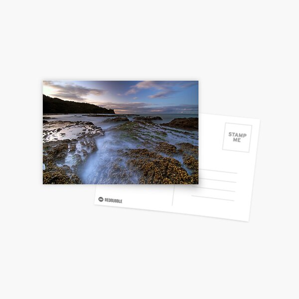 Tide Two Postcard