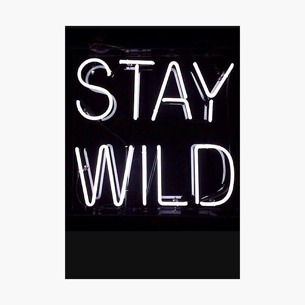 Stay Wild Photographic Print