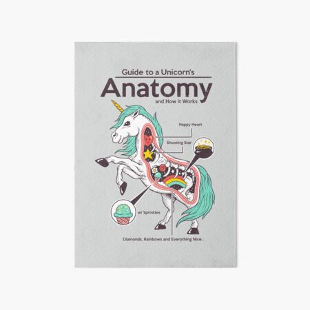 Item preview, Anatomy of a Unicorn designed and sold by vincenttrinidad.