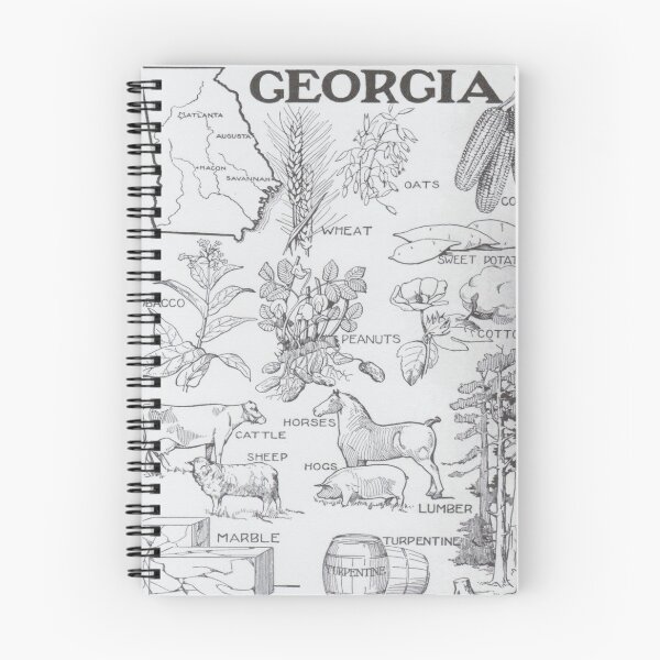 Item preview, Vintage Agricultural Map of Georgia (1915) designed and sold by BravuraMedia.