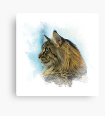 Purebred cat Canvas Print