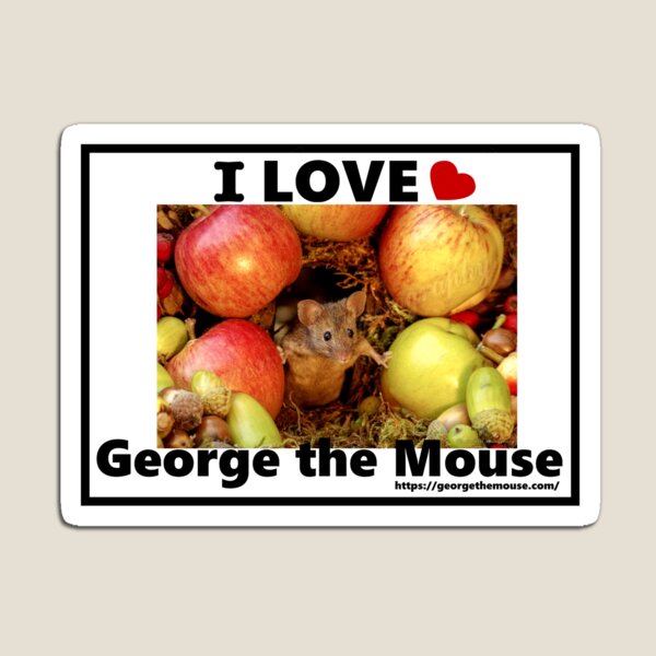 I love George the mouse in a log pile house Magnet