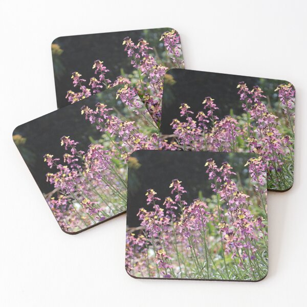 Item preview, Erysimum Flowers designed and sold by pinkal.