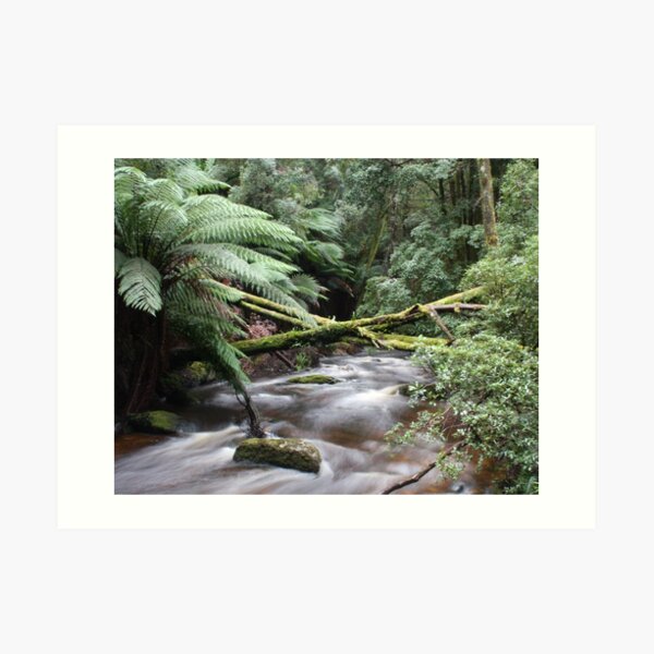 Cool Calm Art Print