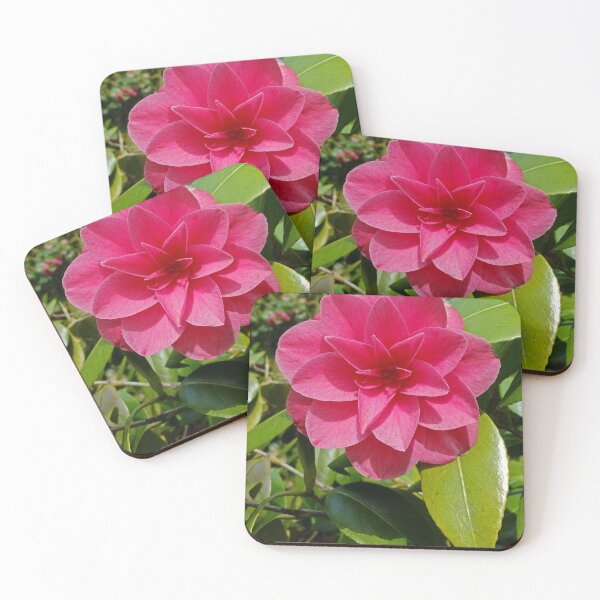 Item preview, Camellia  designed and sold by pinkal.