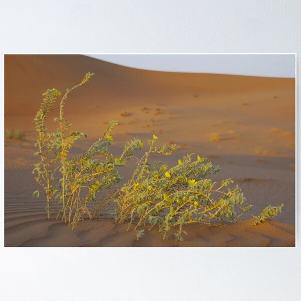 Item preview, And in the lifeless desert - life... designed and sold by Peter Doré.