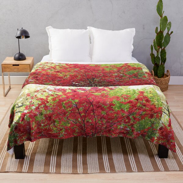 Item preview, Red Japanese Maple Tree designed and sold by pinkal.