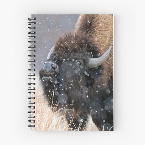 Item preview, American Bison Grunting in Snow designed and sold by ForLoveofArt.