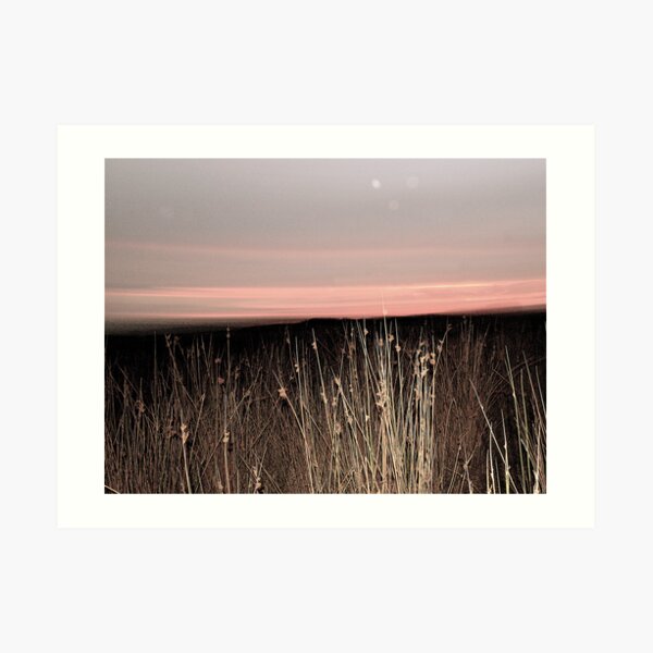 horizon Art Print