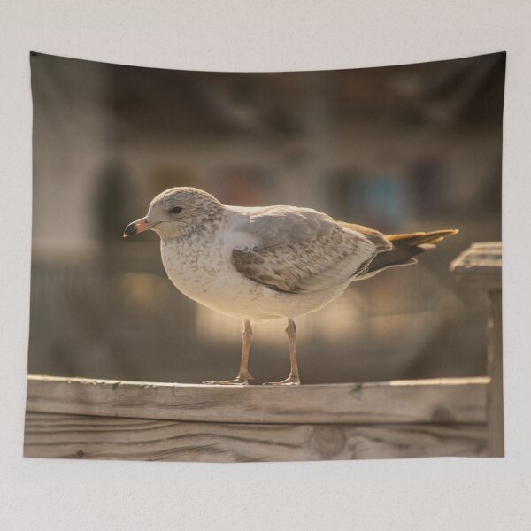 Item preview, California gull in myrtle beach designed and sold by KensLensDesigns.