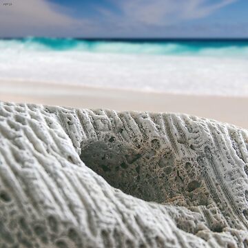 Artwork thumbnail, Coral By The Sea by perkinsdesigns