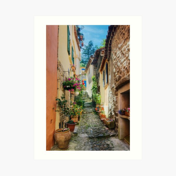 A narrow street in Provence village Art Print