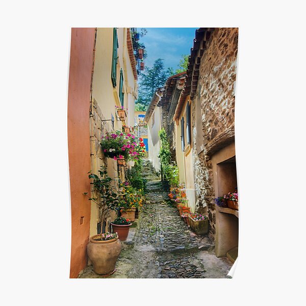 A narrow street in Provence village Poster