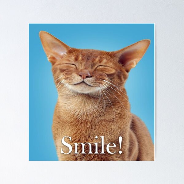 Item preview, Smiling Cat designed and sold by Pam069.