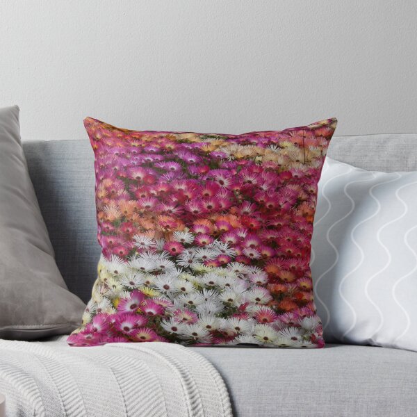 Item preview, Queens Park designed and sold by PhotosByG.