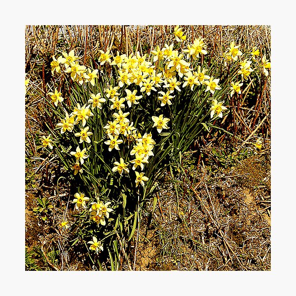 Item preview, An Evocation of Spring designed and sold by Andrew  Bailey.