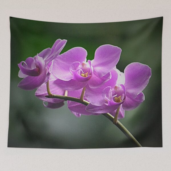 Item preview, Exotic Orchids designed and sold by ReneeKennedy.