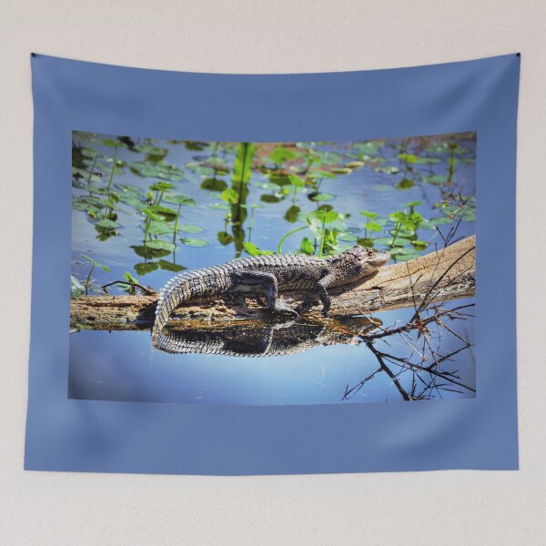 Item preview, Alligator designed and sold by Savannah Gibbs.