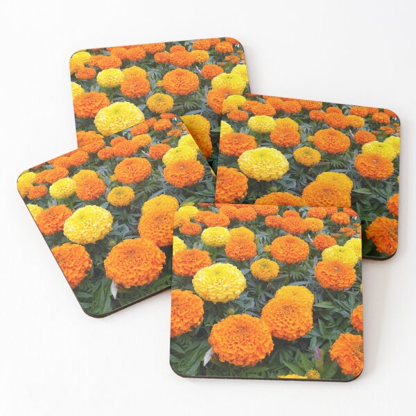 Item preview, Marigolds  designed and sold by pinkal.