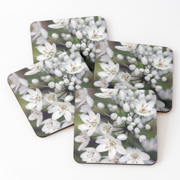 Item preview, Star of Bethlehem Flower designed and sold by pinkal.