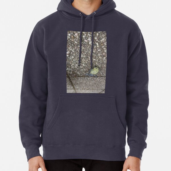 A dead bird looking still alive. Pullover Hoodie