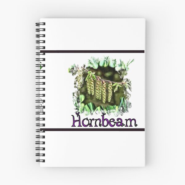 Item preview,  Bach Flower : Hornbeam  designed and sold by Attiva.