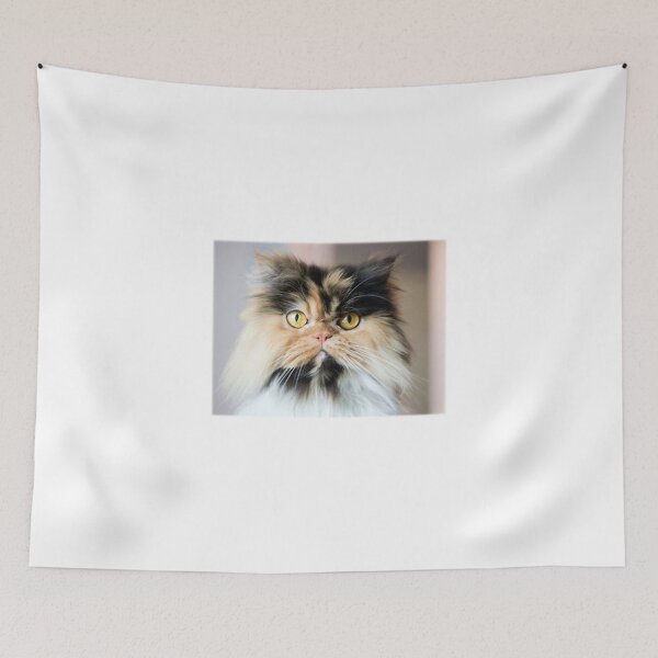 Item preview, Calico Persian Cat designed and sold by Pam069.