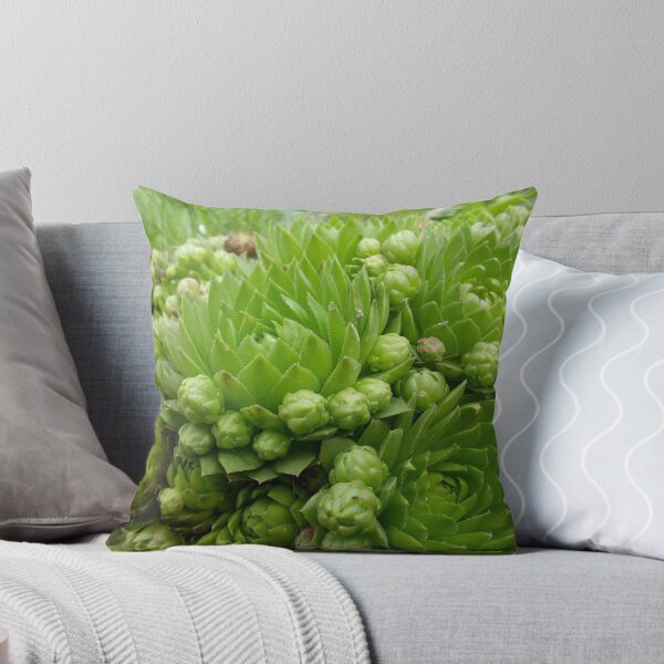 Item preview, Succulent designed and sold by miaterinka.