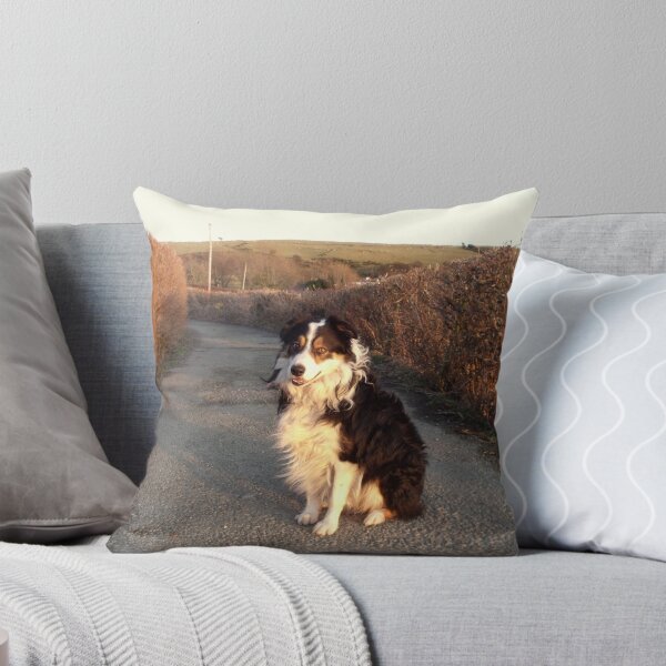 Item preview, Country Lane Laddie designed and sold by Michael Haslam.