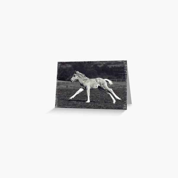 full of the joys of spring Greeting Card