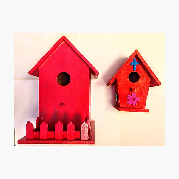 BIRD HOUSE Photographic Print