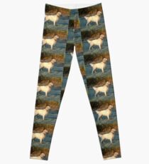 golden retriever full on frosty grass Leggings