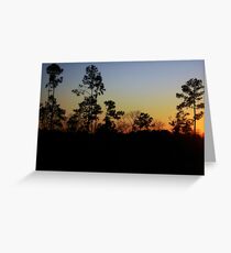 South Carolina Sunset Greeting Card
