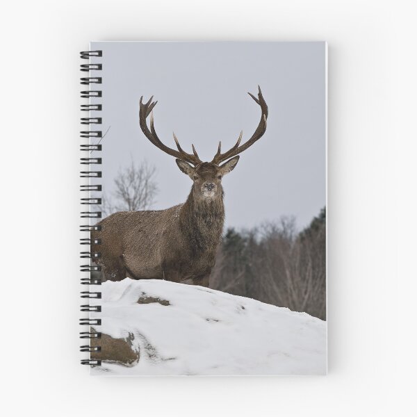 Item preview, At Last!! designed and sold by Tracey  Dryka.