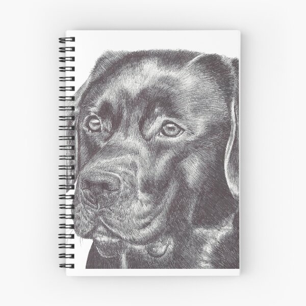 Item preview, Black Labrador - biro designed and sold by jessicamason38.