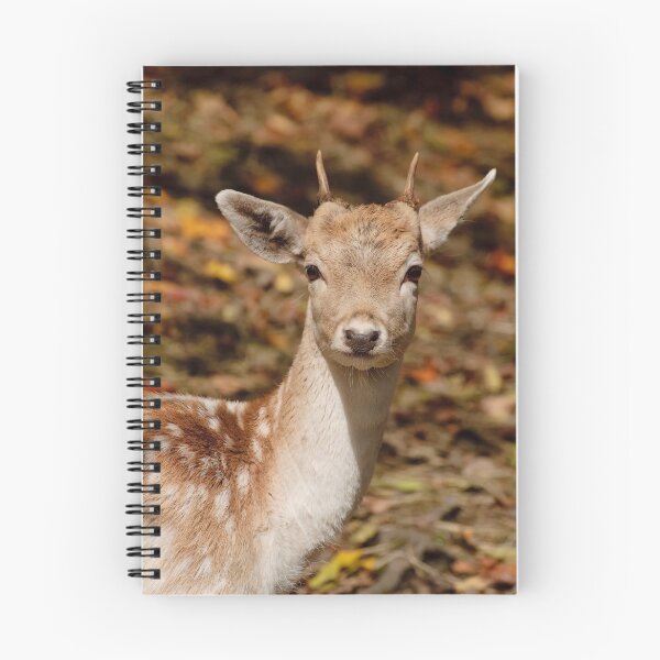 Item preview, Fallowdeer - Parc Omega, Montebello, PQ designed and sold by Tracey  Dryka.