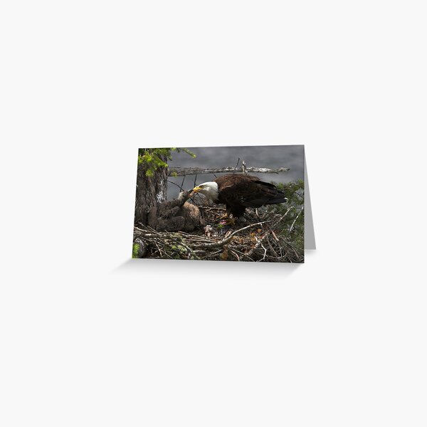 A Tasty Morsel Greeting Card