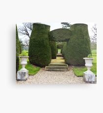 Topiary! Metal Print