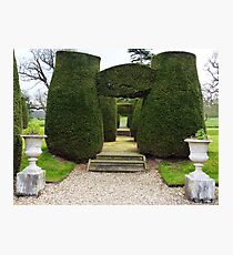 Topiary! Photographic Print