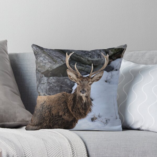 Item preview, Red deer - Parc Omega, Montebello, PQ designed and sold by Tracey  Dryka.