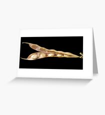 Beans Seedpod Greeting Card