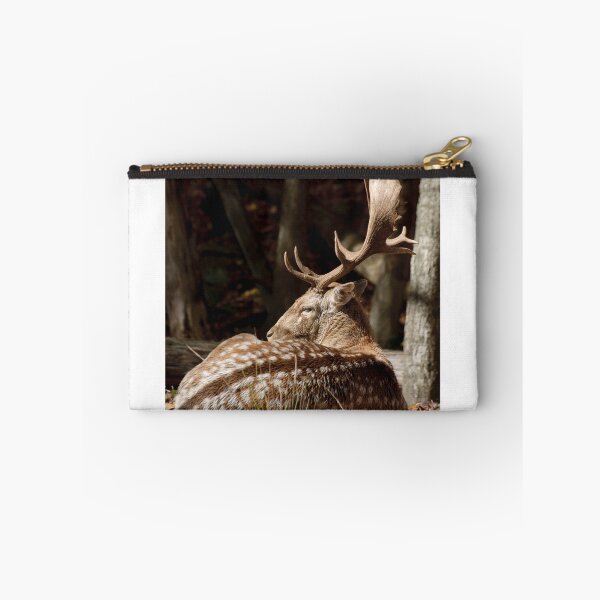 Item preview, Fallow deer - Parc Omega, Montebello, PQ designed and sold by Tracey  Dryka.