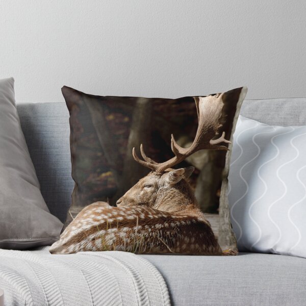 Item preview, Fallow deer - Parc Omega, Montebello, PQ designed and sold by Tracey  Dryka.
