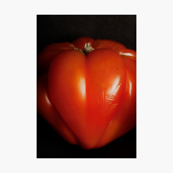 Heartbreak Photographic Print