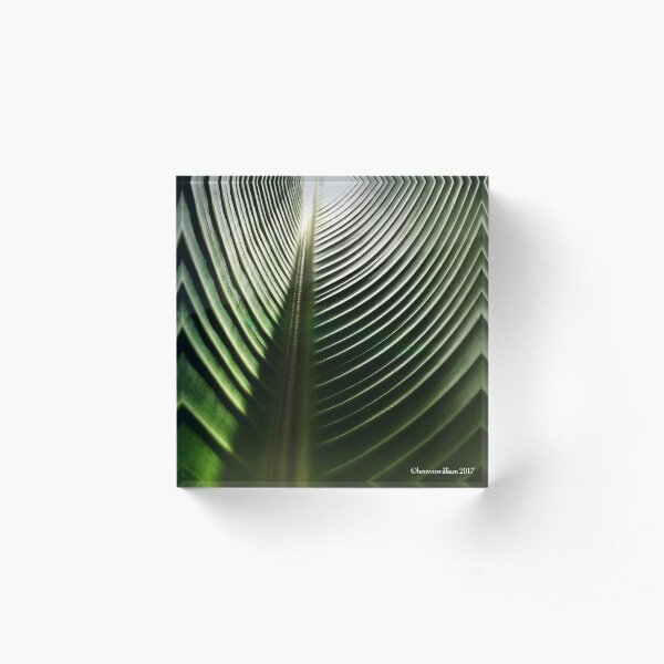TRAVELLER'S PALM Acrylic Block