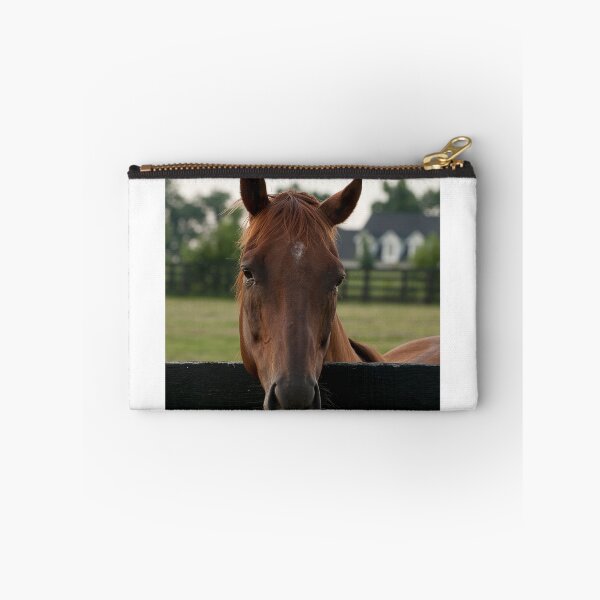 Item preview, Commentator - Old Friend's Equine designed and sold by Tracey  Dryka.