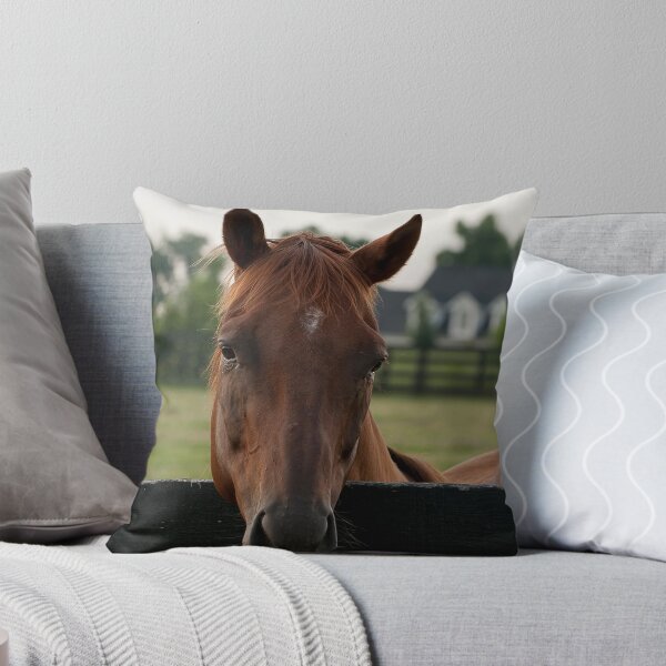 Item preview, Commentator - Old Friend's Equine designed and sold by Tracey  Dryka.