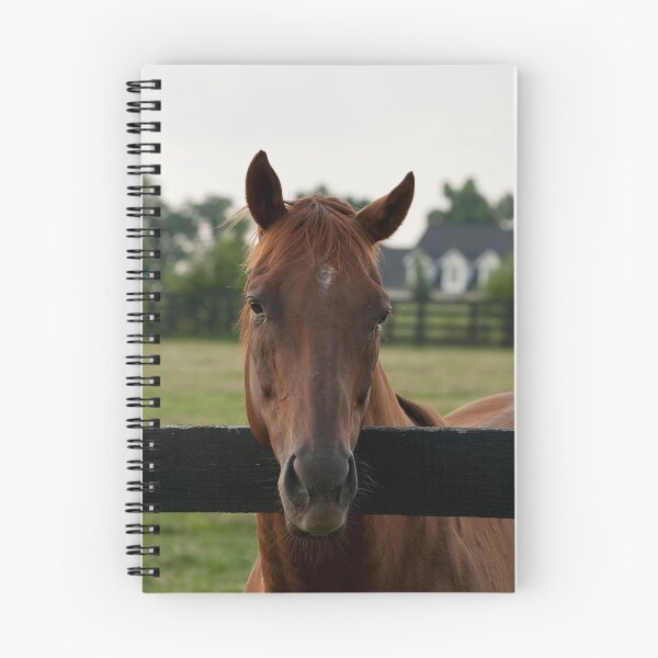 Item preview, Commentator - Old Friend's Equine designed and sold by Tracey  Dryka.