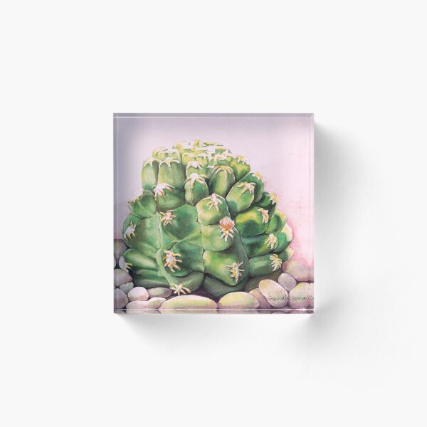 CACTUS Acrylic Block